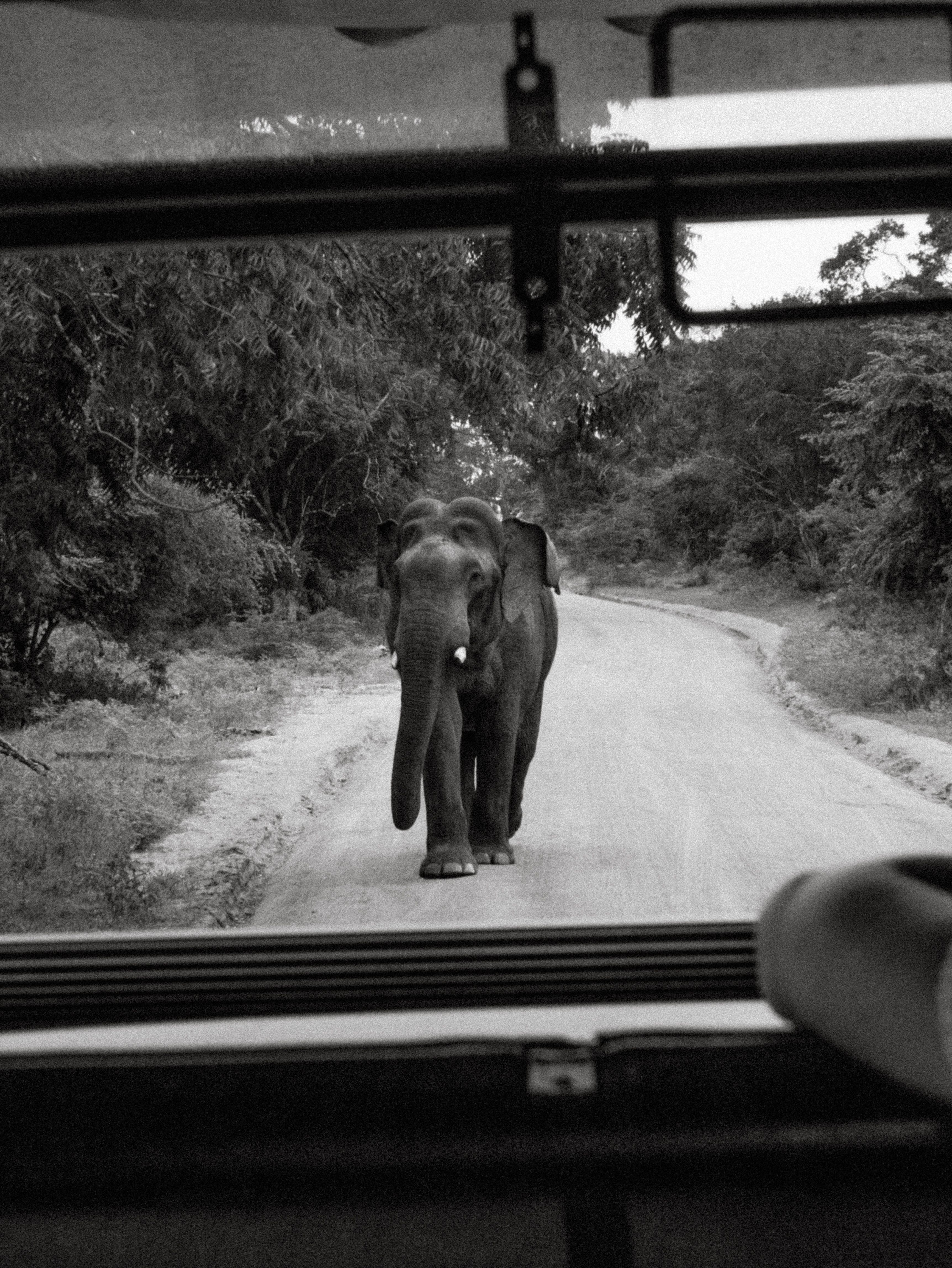 Group travel in Sri Lanka